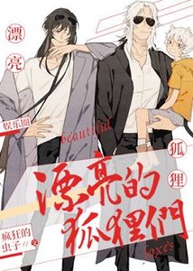 漂亮的狐狸們